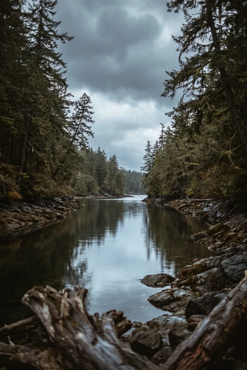 A river between forested banks under heavy grey cloud
