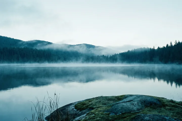 Mist lifting off a still lake below forested hills, a mossy rock and tall grass in the foreground.