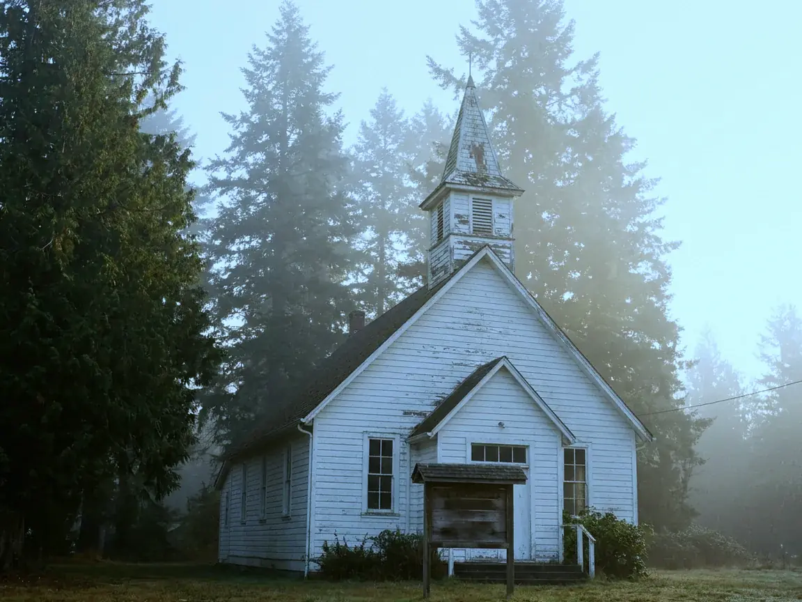 A small weathered white country church among tall firs in soft morning fog