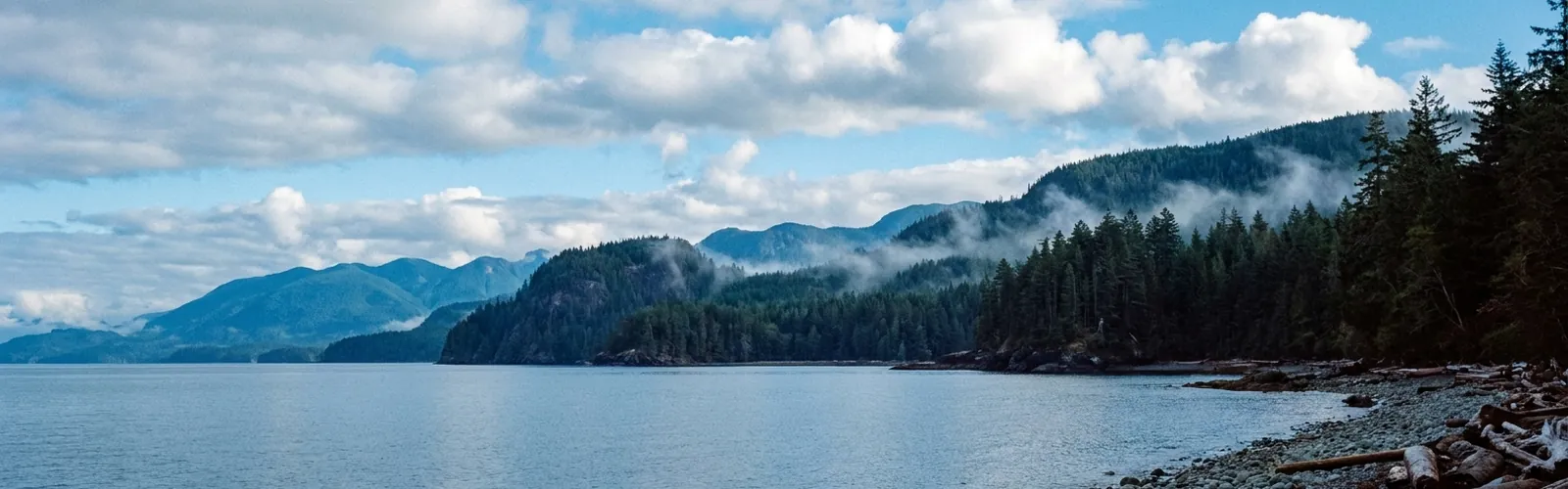 A wooded Vancouver Island headland reaching into calm water under a pale bright sky, its shoreline and evergreens clearly defined.