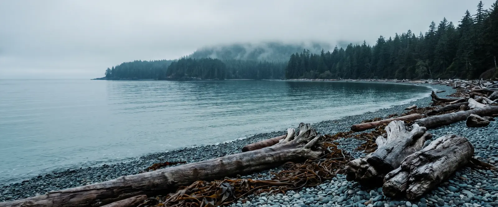 A quiet pebble beach after a storm, driftwood logs and kelp along the tide line below a misty forested headland.