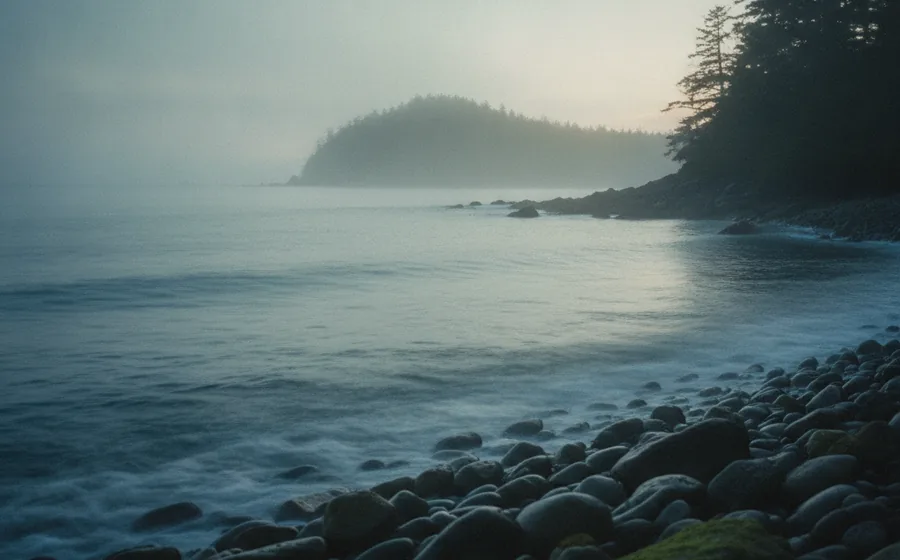 Misty Pacific cove at dawn on Vancouver Island