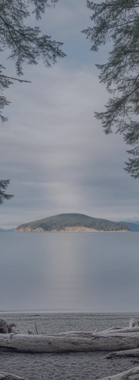 A Vancouver Island cove opening to open water at soft light.