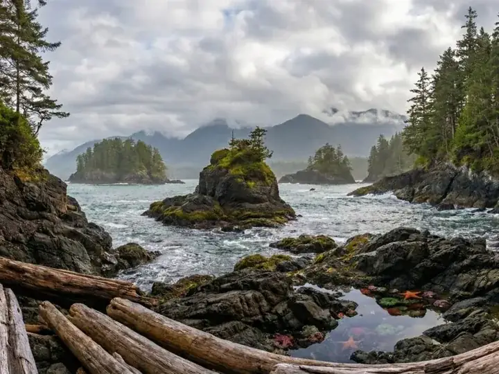 A rocky Vancouver Island shoreline with driftwood and tide pools below forested sea stacks.