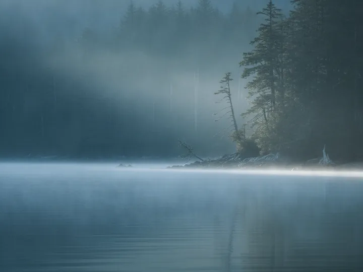 Morning mist lifting off still water to reveal a forested shoreline.