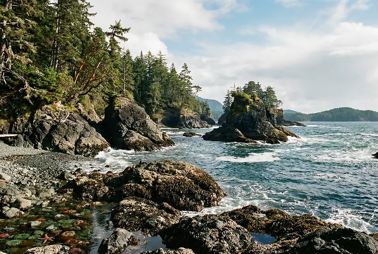 Rugged rocky Pacific coastline with sea stacks and barnacle-covered rocks