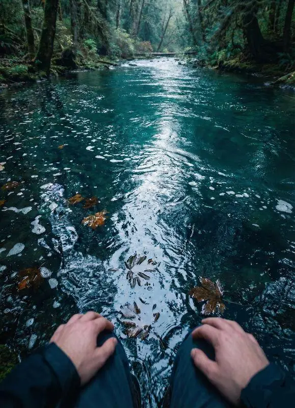 First-person view sitting by mossy forest stream for intrusive thoughts therapy