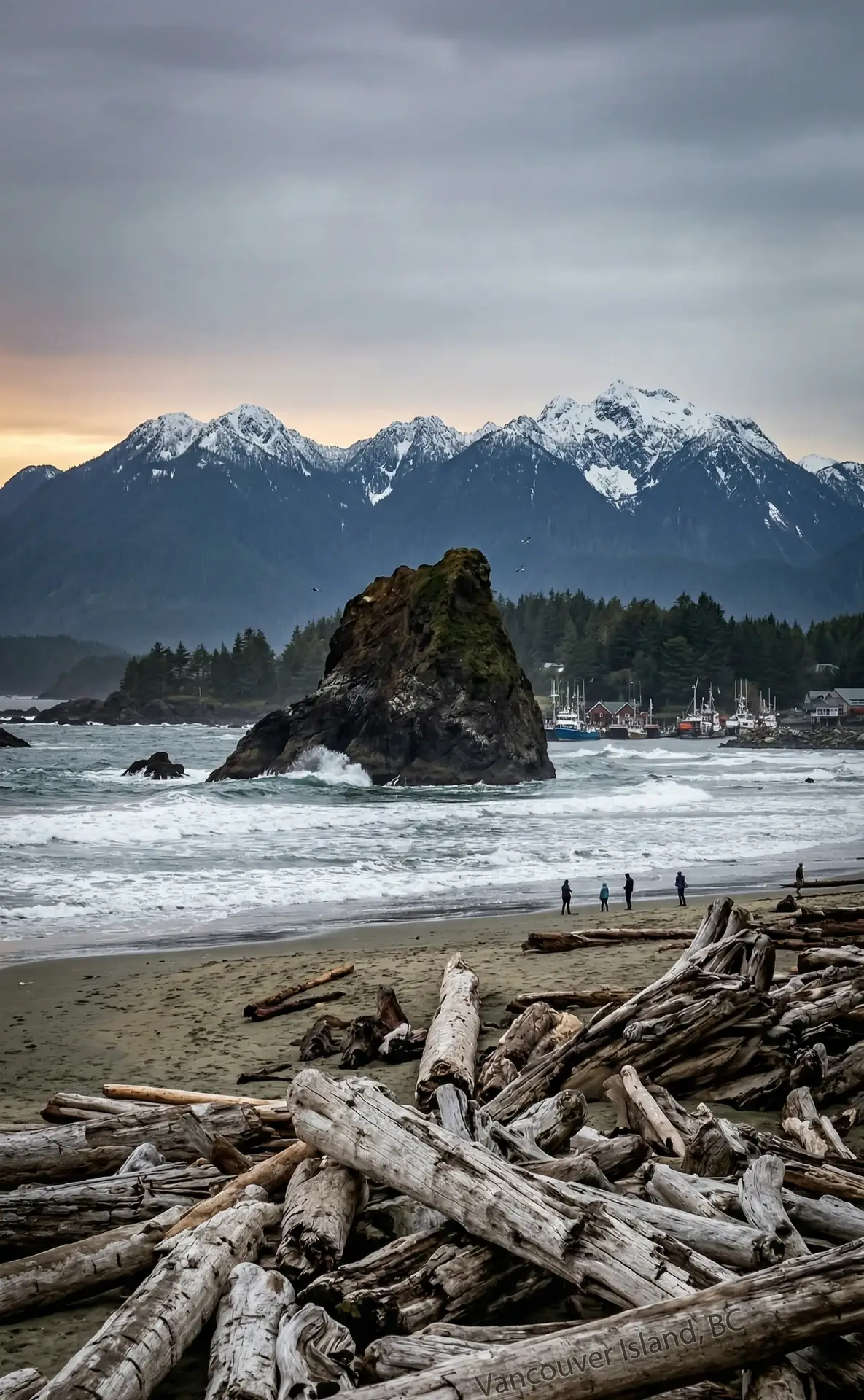Vancouver Island landscape representing peace for high-stress professionals