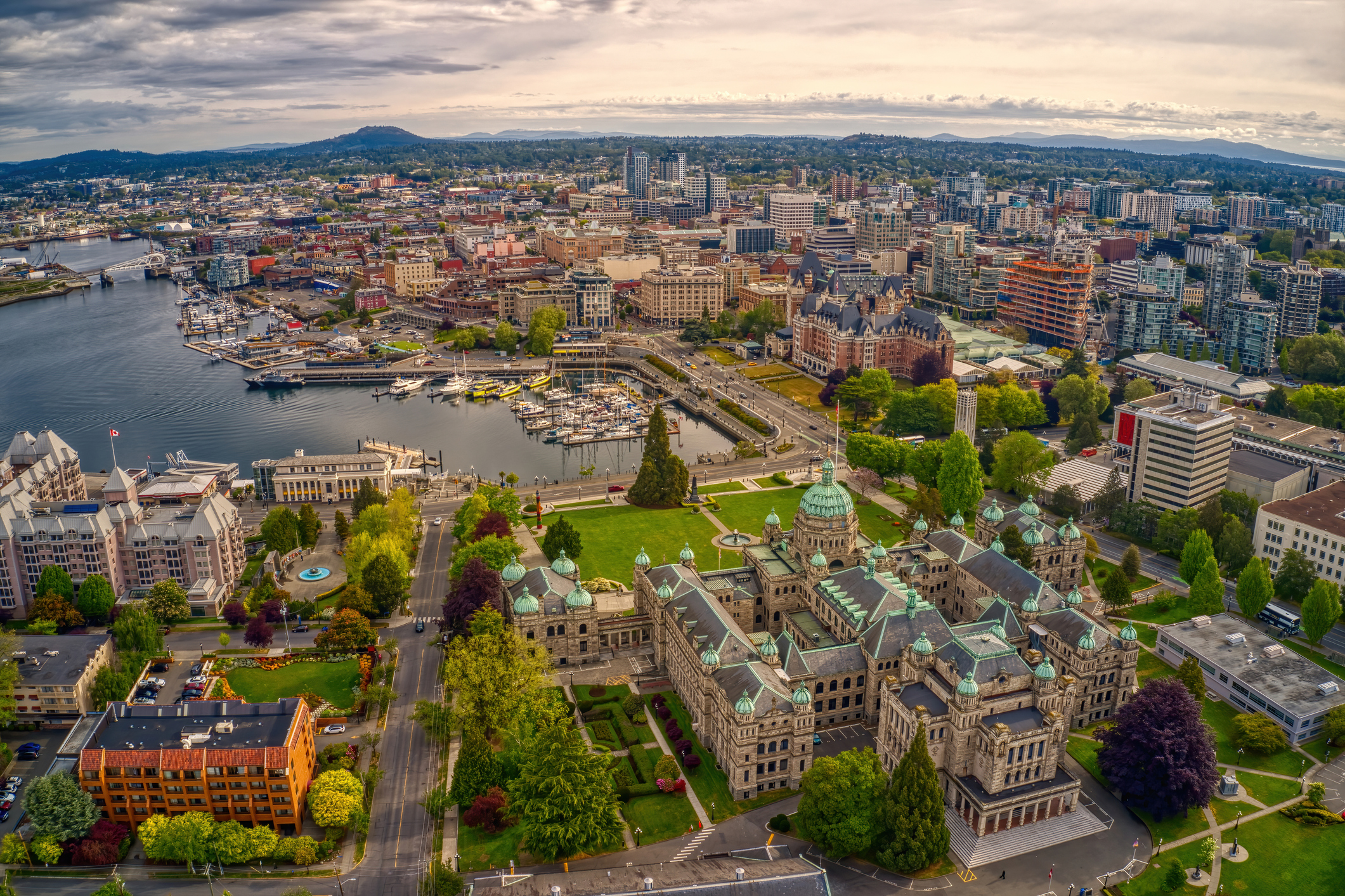 Counselling for veterans and Canadian Armed Forces members in Victoria BC