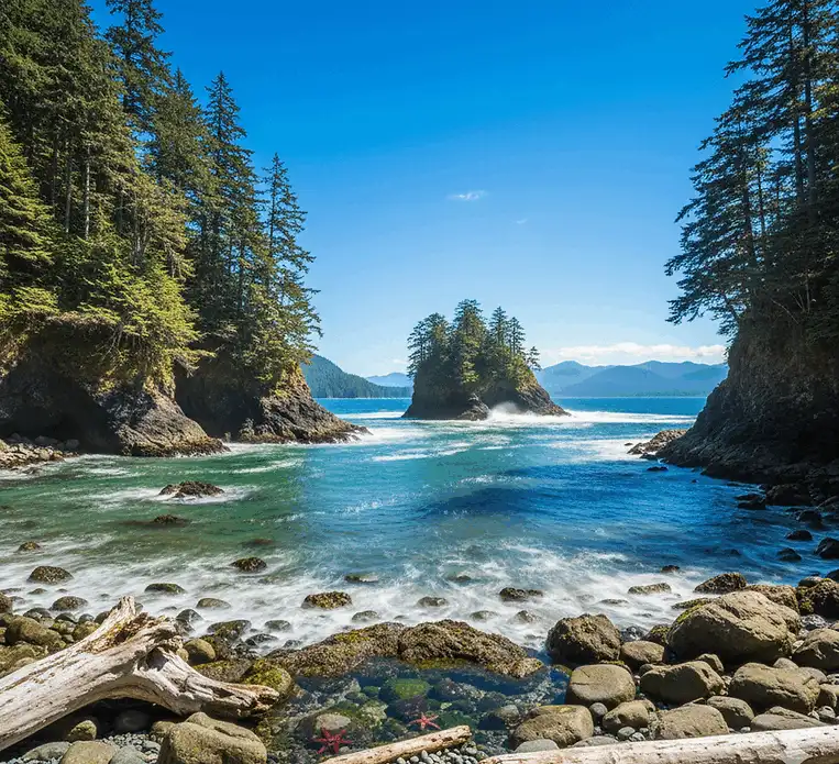 Coastal cove with turquoise waters starfish and sea stacks on Vancouver Island