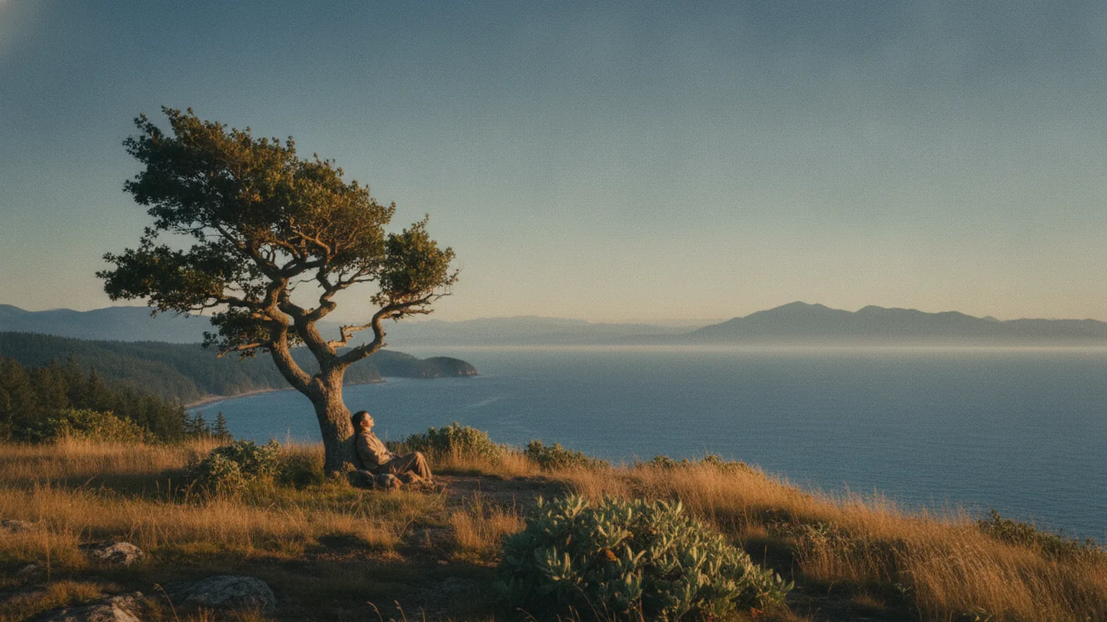 A person rests with closed eyes against a wind-bent Garry oak on a coastal bluff, morning light low over the water.